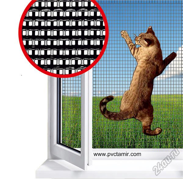 Kedi Sineklik